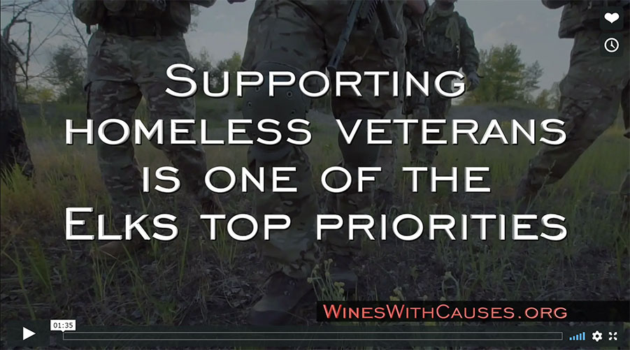 Campaign for Homeless Veterans